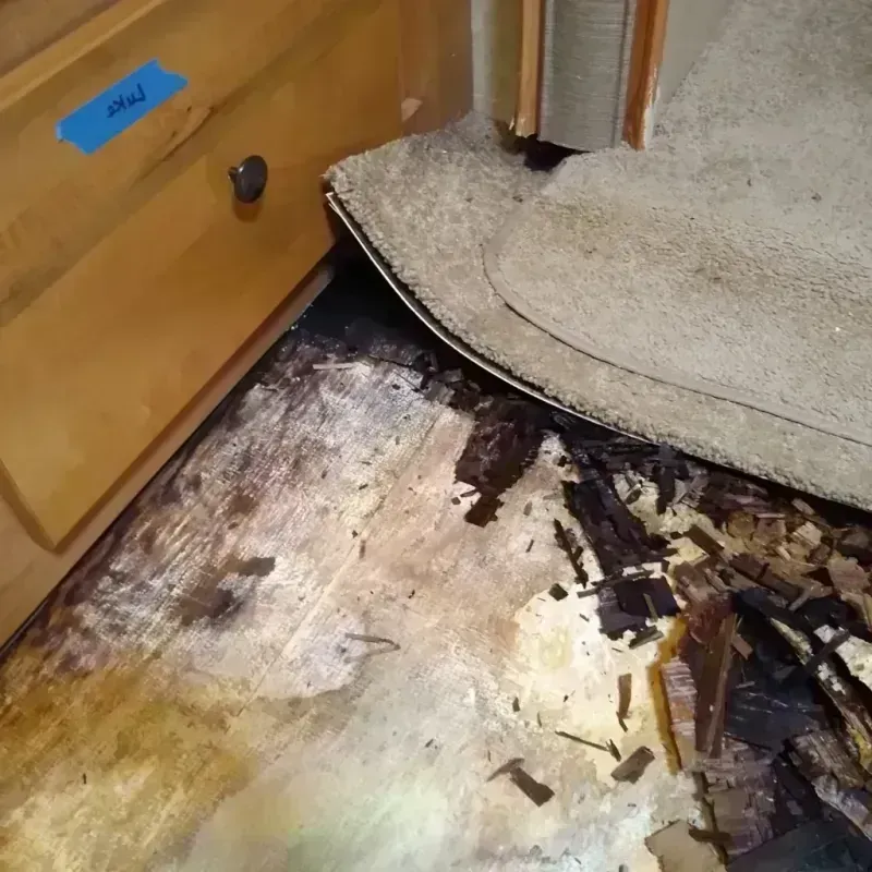 Wood Floor Water Damage in Northglenn, CO